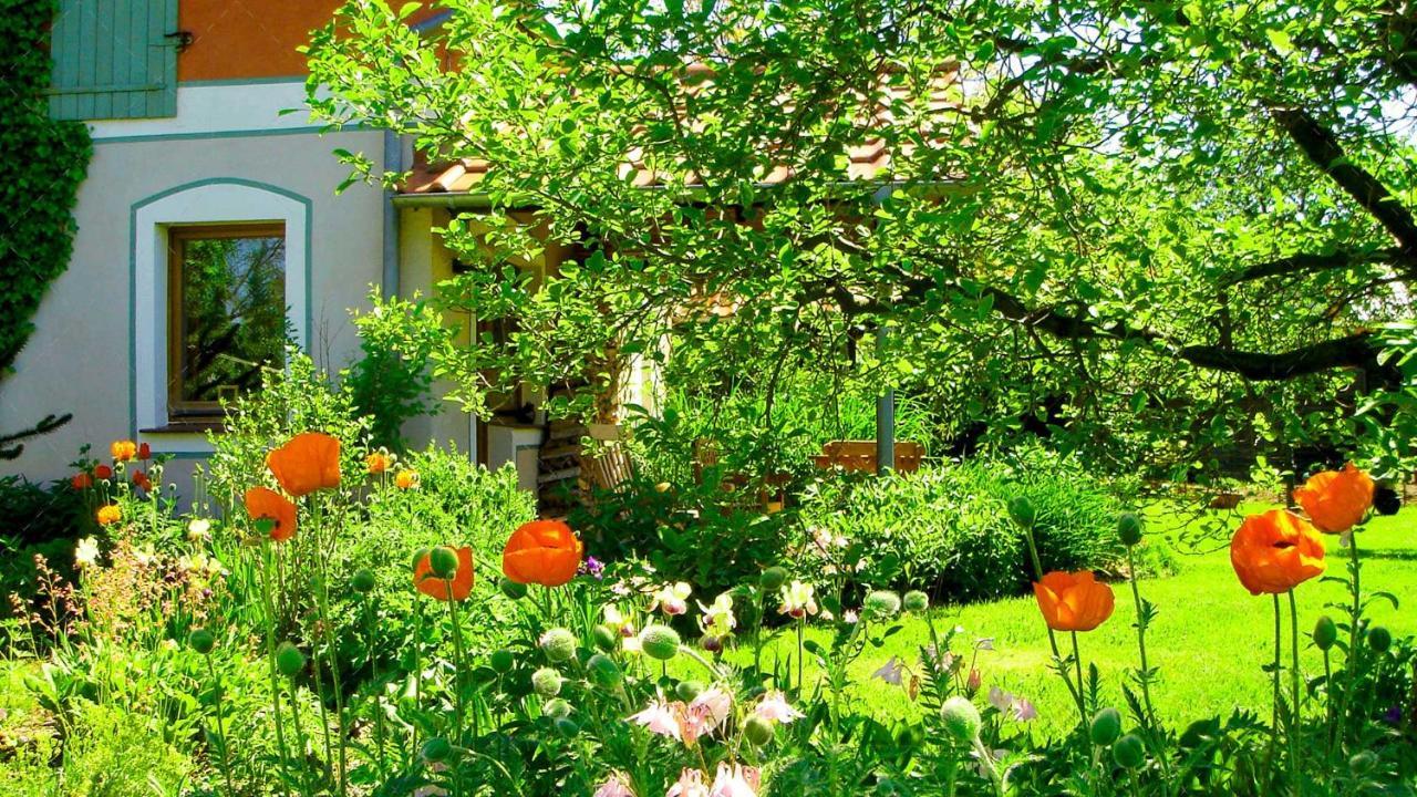 Janischs Fewo Im Spreewald, Terrasse, Grosser Garten Und Blick Inklusive Unterspreewald Exterior photo