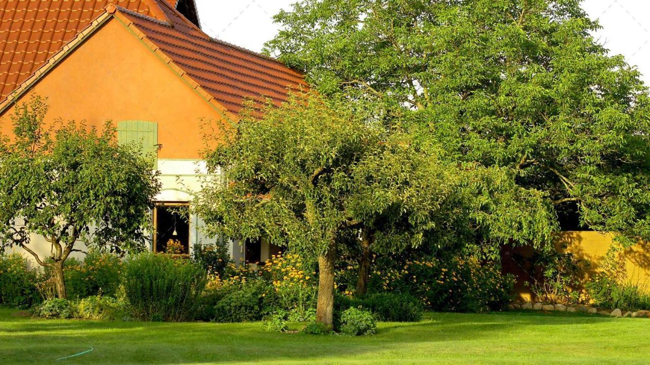 Janischs Fewo Im Spreewald, Terrasse, Grosser Garten Und Blick Inklusive Unterspreewald Exterior photo
