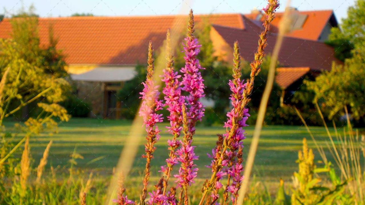 Janischs Fewo Im Spreewald, Terrasse, Grosser Garten Und Blick Inklusive Unterspreewald Exterior photo